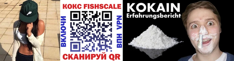 Купить где  Заводоуковск  Кокаин FishScale 