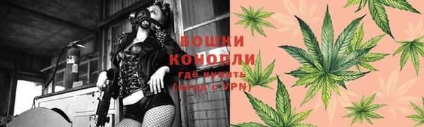 прущие крисы Елизово