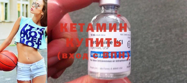 гашик Ельня