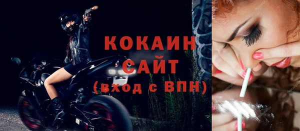 гашик Ельня