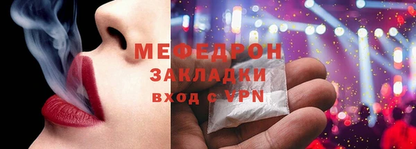 гашик Ельня