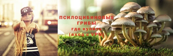 прущие крисы Елизово