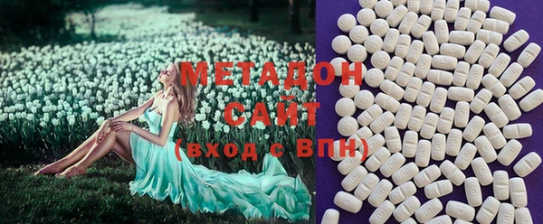 гашик Ельня