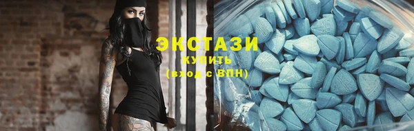 гашик Ельня