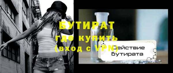 гашик Ельня
