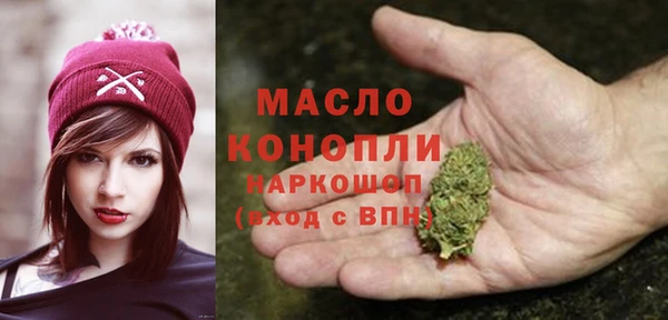 гашик Ельня