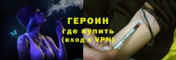 гашик Ельня