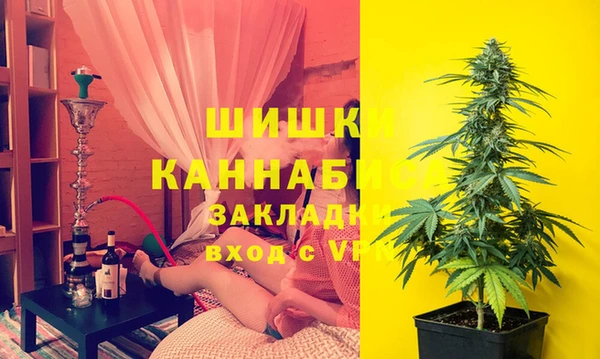 прущие крисы Елизово
