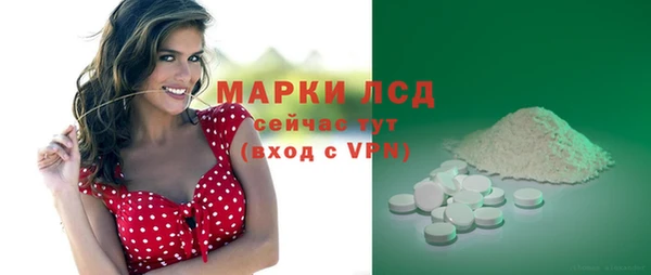 гашик Ельня