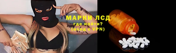 гидропоника Елабуга