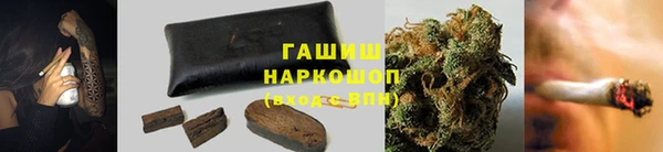 гидропоника Елабуга