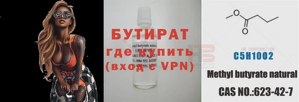 гашик Ельня