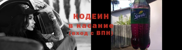 гашик Ельня