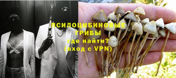 гидропоника Елабуга