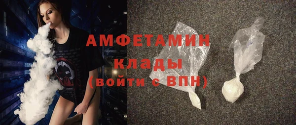 гашик Ельня