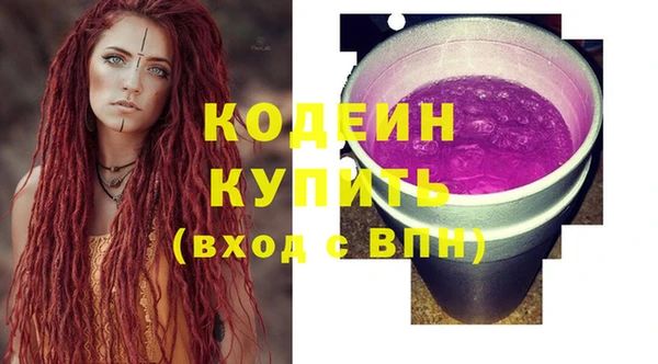 гашик Ельня