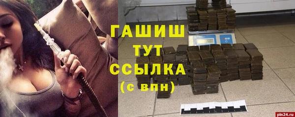 гашик Ельня