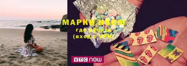 гашик Ельня