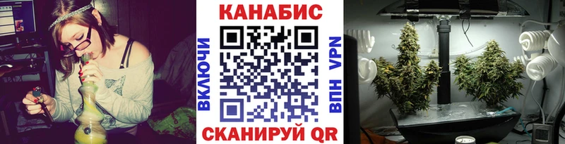 Купить закладки  Заводоуковск  Марихуана сатива 